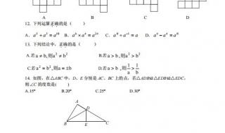 七年级下册期末试卷